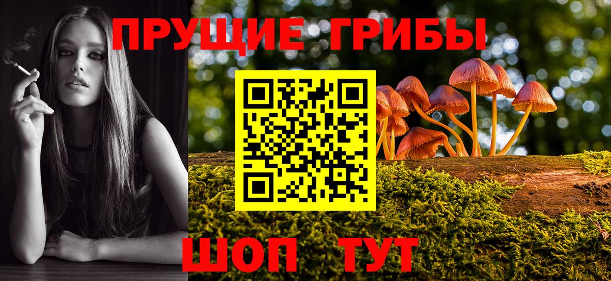 Псилоцибиновые грибы ЛСД  Псилоцибиновые грибы Magic Shrooms  Вход с VPN  Мурманск 