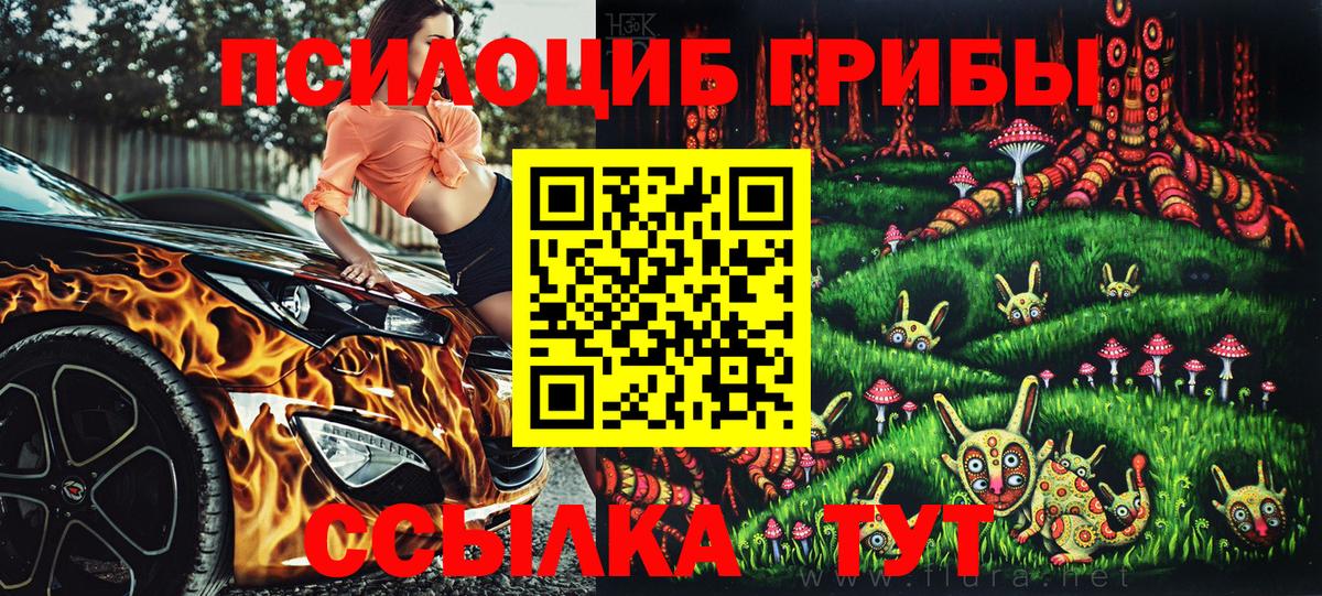 Псилоцибиновые грибы Cubensis Мурманск
